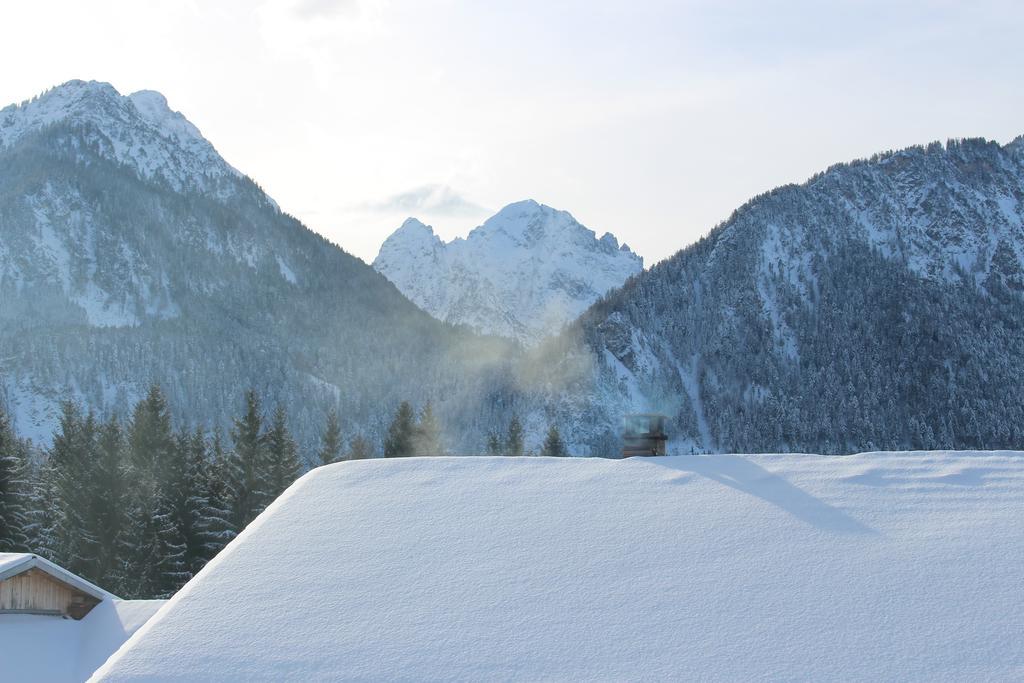 Alpenmotel Saeuling พินส์วาง ภายนอก รูปภาพ