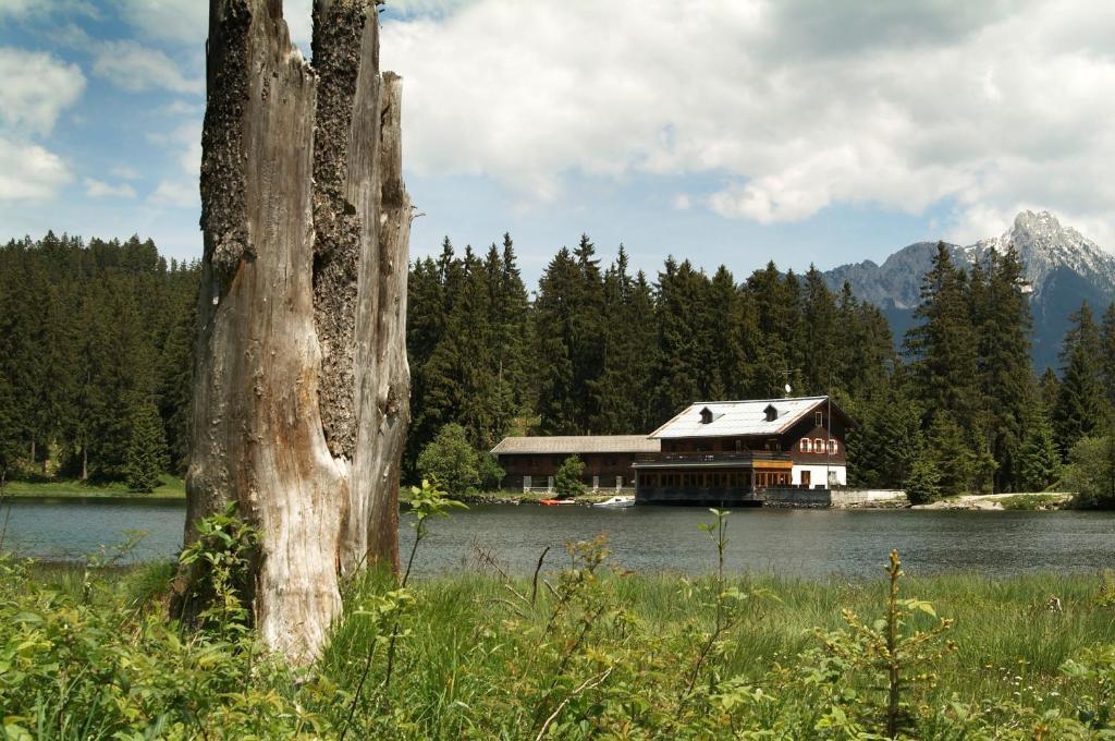 Alpenmotel Saeuling พินส์วาง ภายนอก รูปภาพ